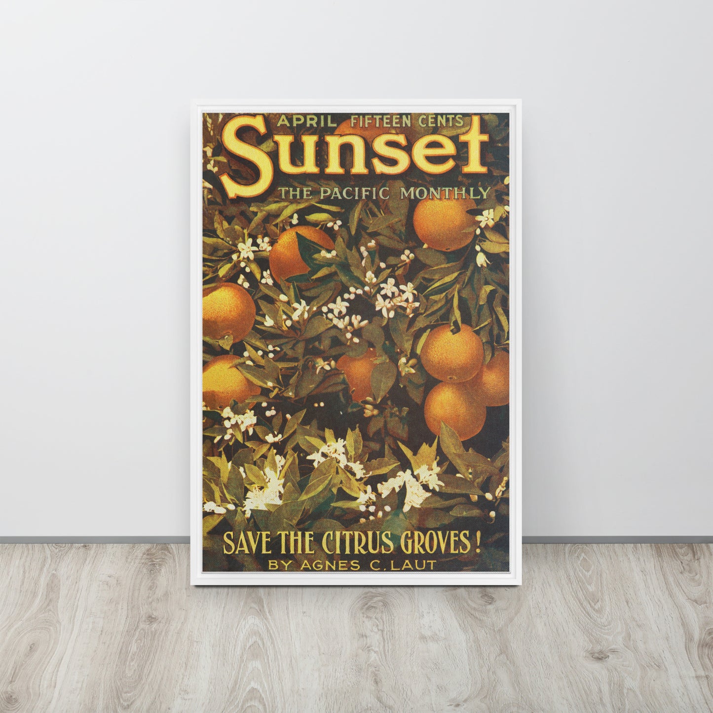 Sunset April 1913 Framed Canvas Cover
