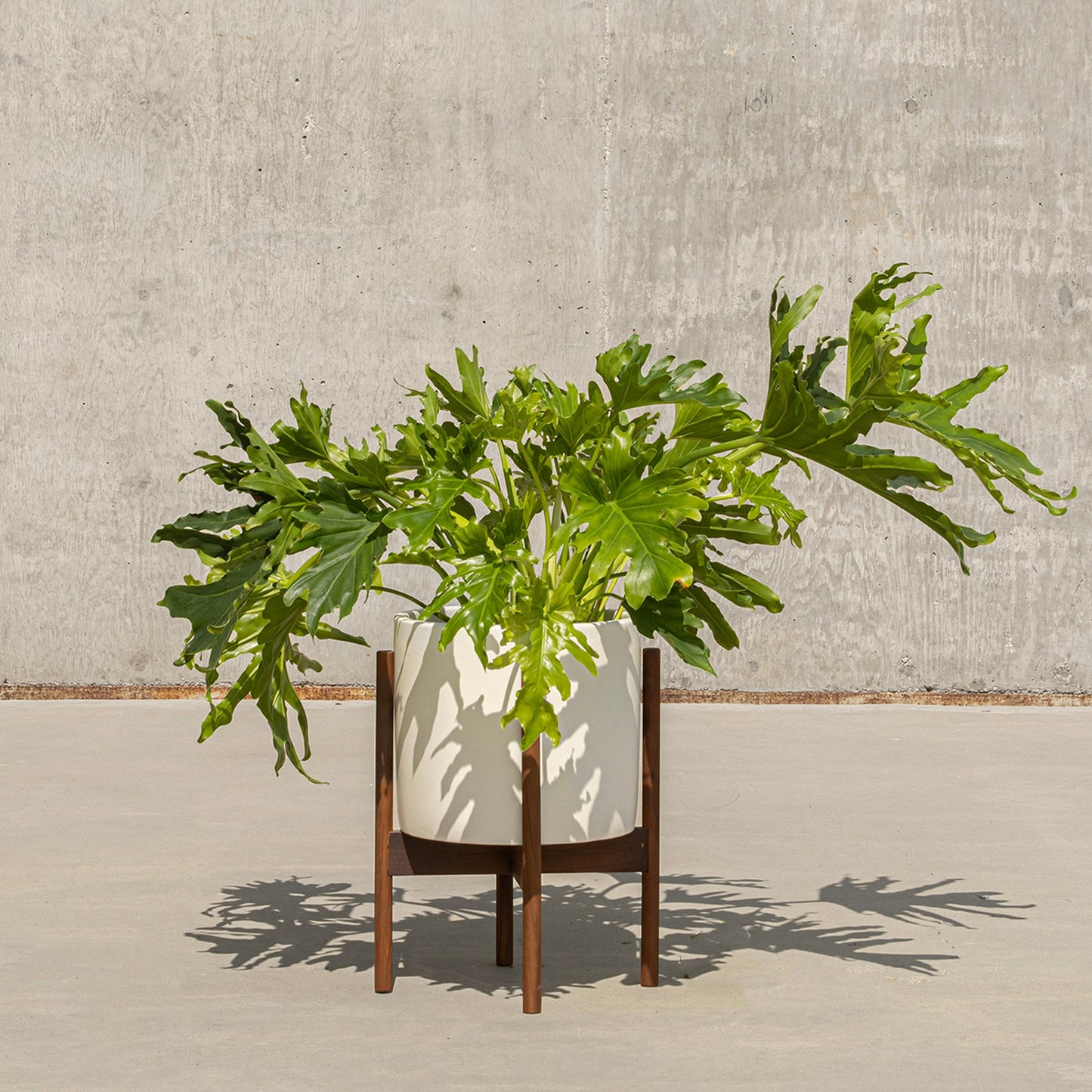 Case Study® Ceramics Small Cylinder with Stand