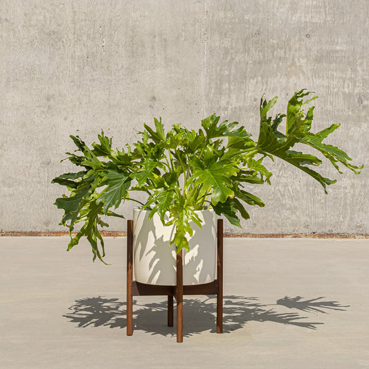 Case Study® Ceramics Small Cylinder with Stand