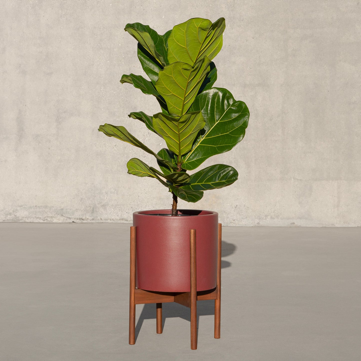 Case Study® Ceramics Small Cylinder with Stand