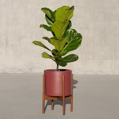 Case Study® Ceramics Small Cylinder with Stand