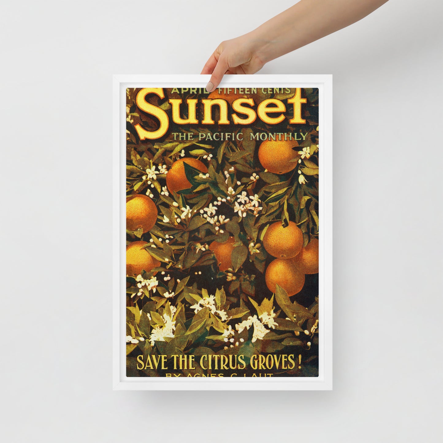 Sunset April 1913 Framed Canvas Cover