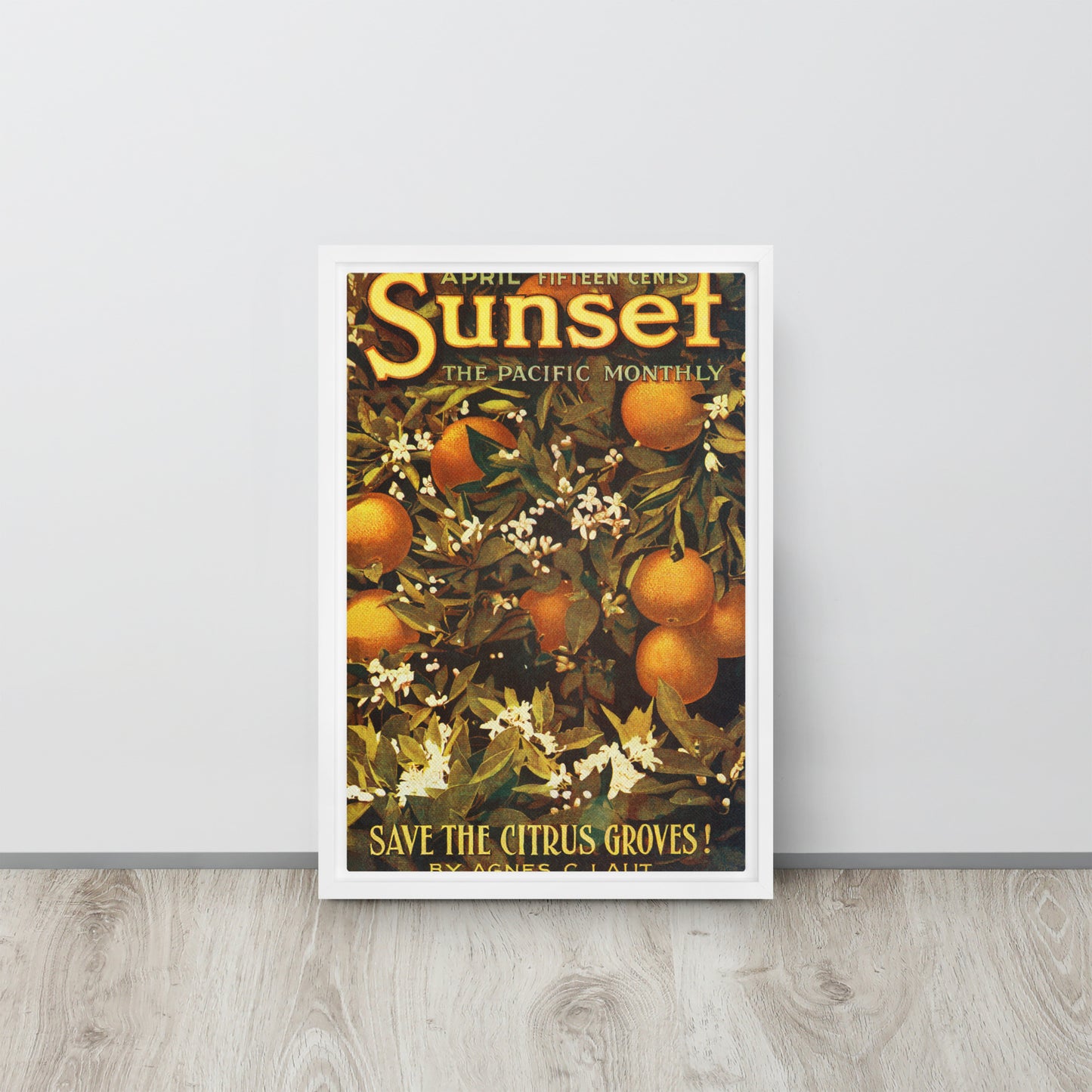 Sunset April 1913 Framed Canvas Cover