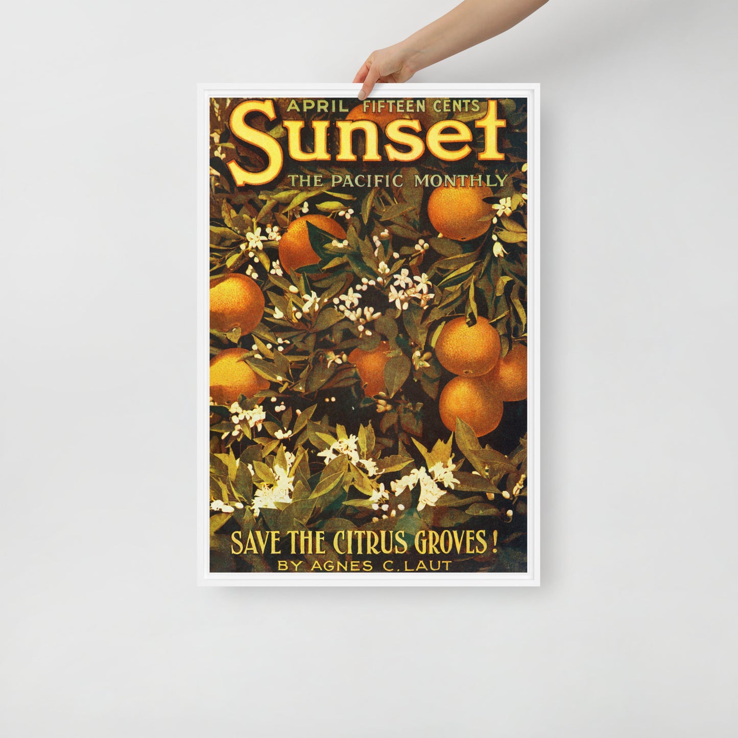 Sunset April 1913 Framed Canvas Cover