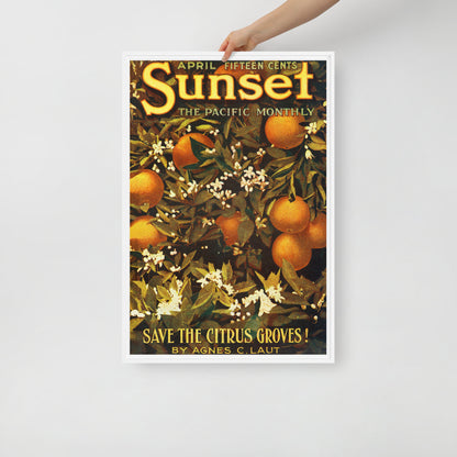 Sunset April 1913 Framed Canvas Cover